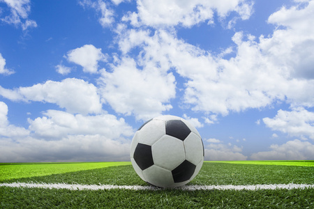 竞彩胜平负数据彩客网多平台下载展示